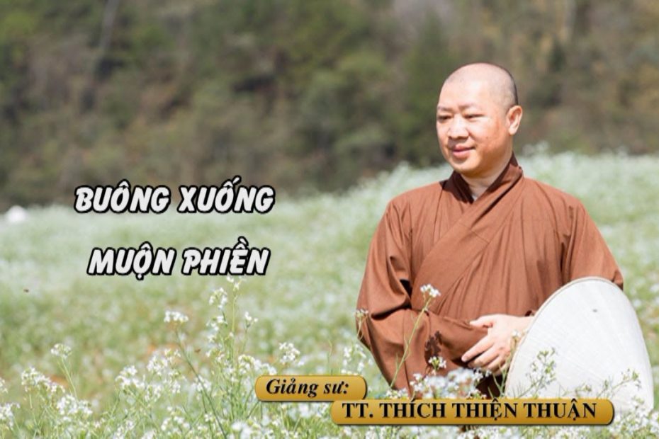 Bài giảng thầy Thích Thiện Thuận mới nhất 2024 - Trang 5 trên 49