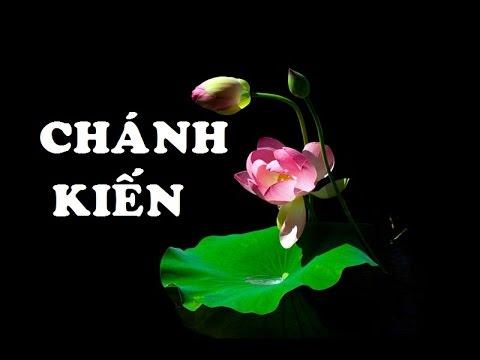 Chánh Kiến Trong Giáo Lý Nhà Phật - Phật Học Vấn Đáp - THƯ VIỆN HOA SEN